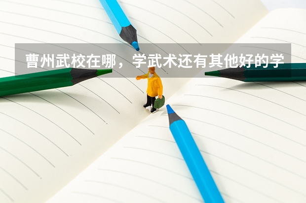 曹州武校在哪,学武术还有其他好的学校吗?