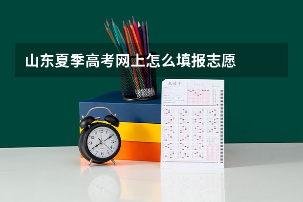 山东夏季高考网上怎么填报志愿