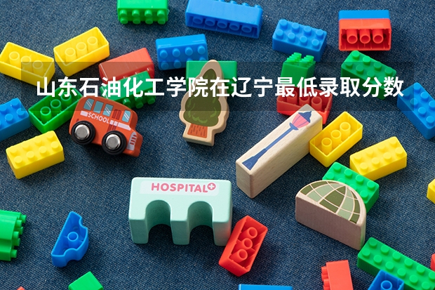 山东石油化工学院在辽宁最低录取分数线介绍