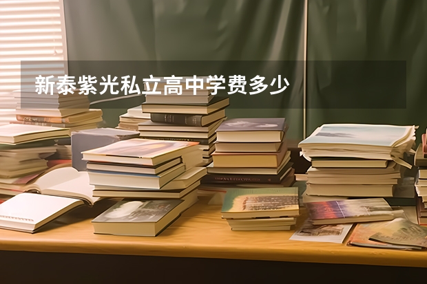 新泰紫光私立高中学费多少