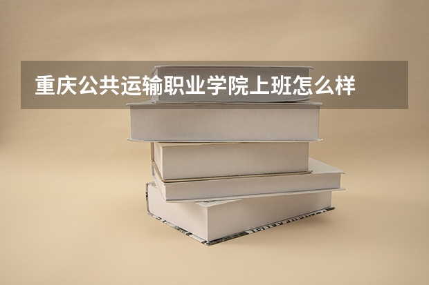 重庆公共运输职业学院上班怎么样