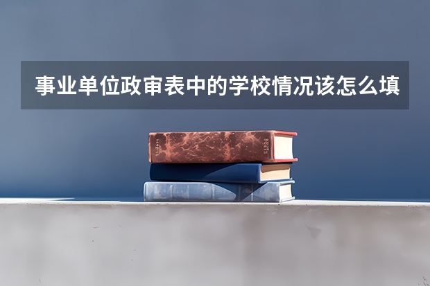 事业单位政审表中的学校情况该怎么填写?