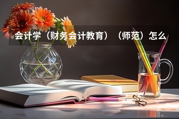 会计学(财务会计教育)(师范)怎么样