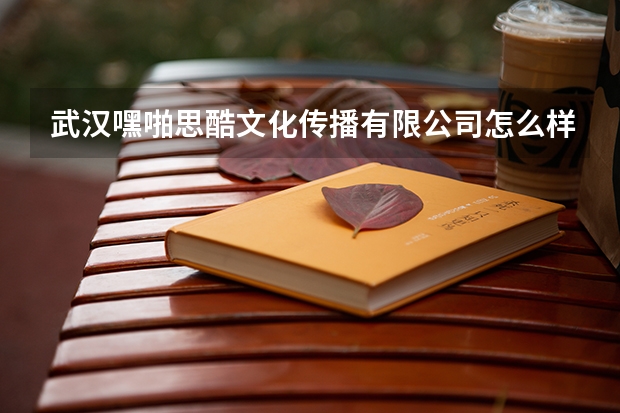 武汉嘿啪思酷文化传播有限公司怎么样?