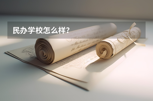 民办学校怎么样?