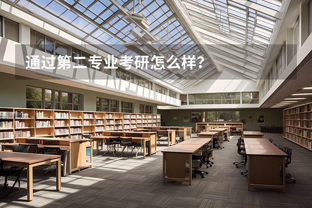 通过第二专业考研怎么样?