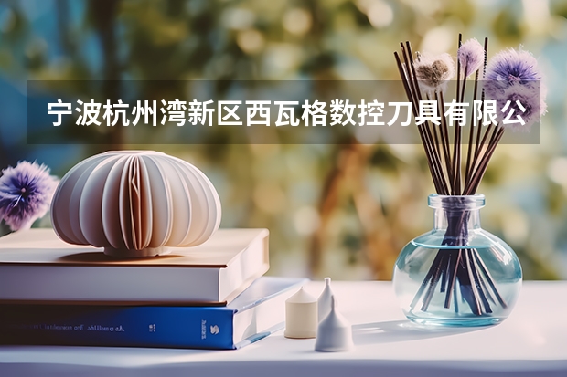 宁波杭州湾新区西瓦格数控刀具有限公司怎么样?