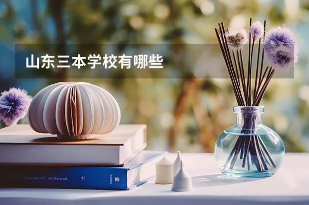 山东三本学校有哪些