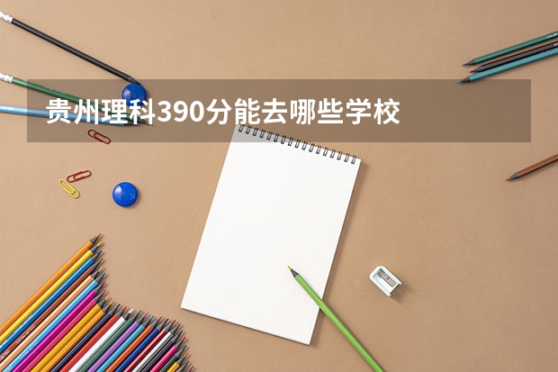 贵州理科390分能去哪些学校
