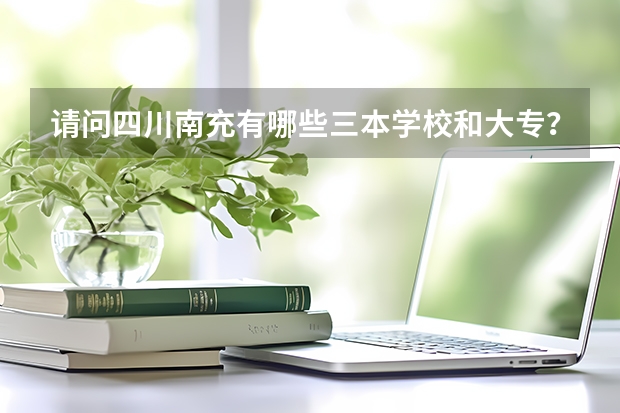 请问四川南充有哪些三本学校和大专?