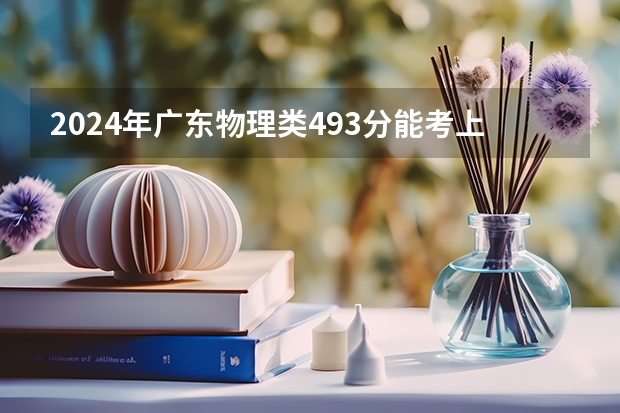 2024年广东物理类493分能考上什么大学?