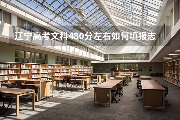 辽宁高考文科480分左右如何填报志愿报什么学校什么专业