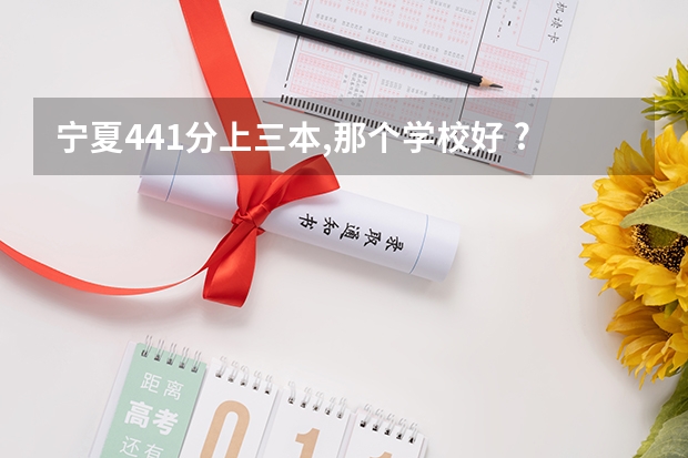 宁夏441分上三本,那个学校好 ?(宁夏大学新华学院是三本还是二本?)