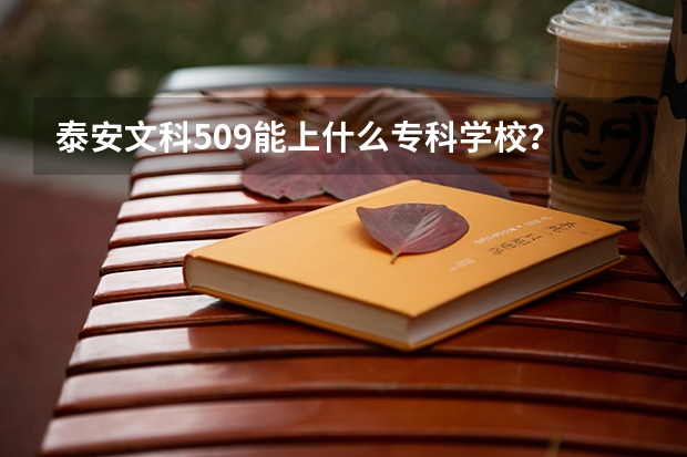泰安文科509能上什么专科学校?