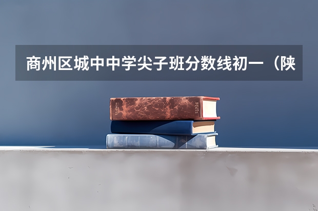商州区城中中学尖子班分数线初一(陕西09年高考理科360分能上陕西哪所公办专科学校)