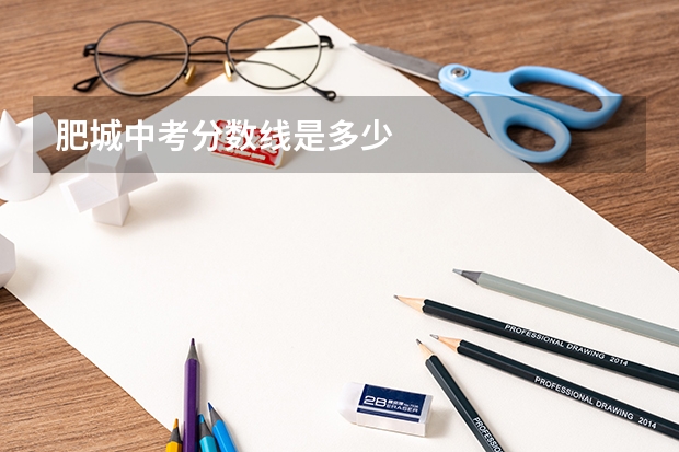肥城中考分数线是多少