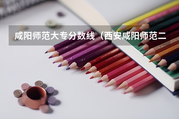 咸阳师范大专分数线（西安咸阳师范二本分数线）