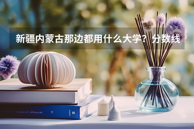 新疆内蒙古那边都用什么大学?分数线都为多少?