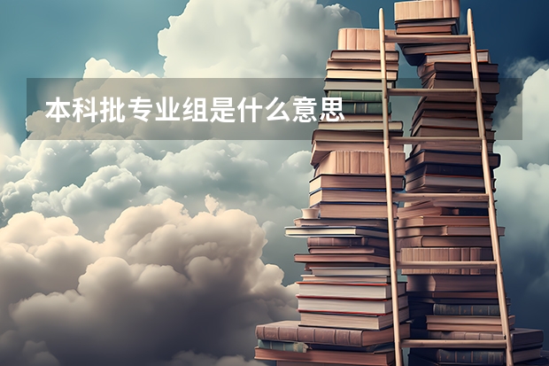 本科批专业组是什么意思