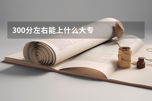 300分左右能上什么大专