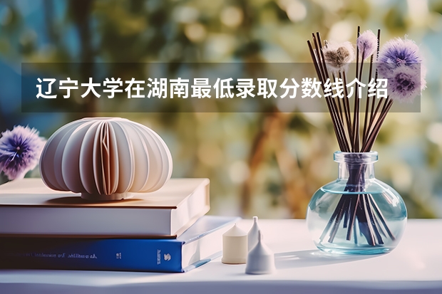 辽宁大学在湖南最低录取分数线介绍