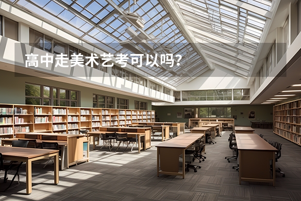 高中走美术艺考可以吗?