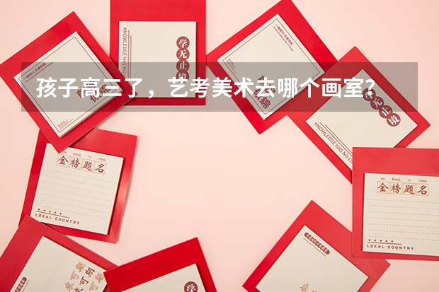 孩子高三了,艺考美术去哪个画室?