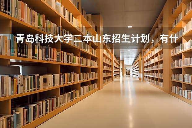 青岛科技大学二本山东招生计划,有什么专业可以选择