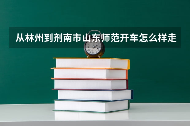 从林州到剂南市山东师范开车怎么样走。