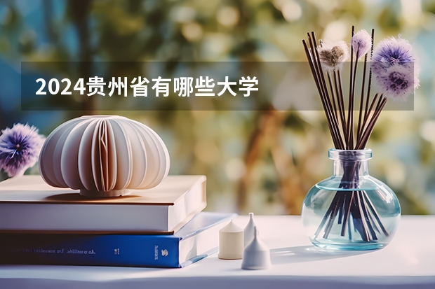 2024贵州省有哪些大学