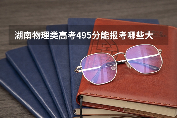 湖南物理类高考495分能报考哪些大学