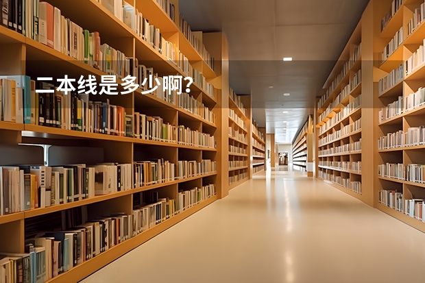二本线是多少啊?