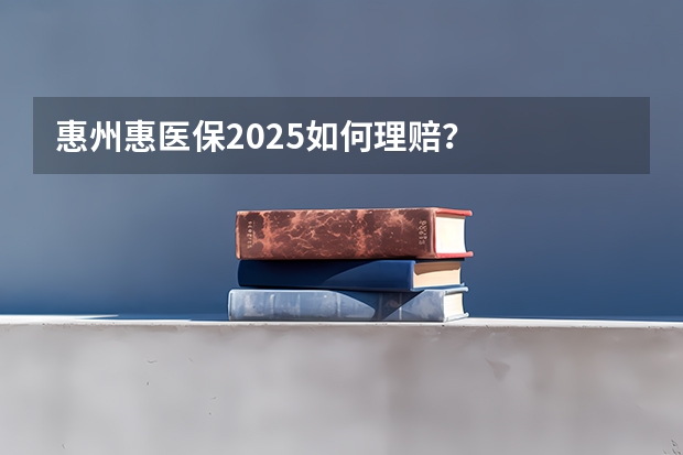 惠州惠医保2025如何理赔?