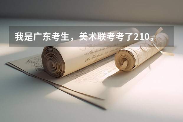 我是广东考生,美术联考考了210,高考文化科考了510,能读什么大学啊?最好是广东省的