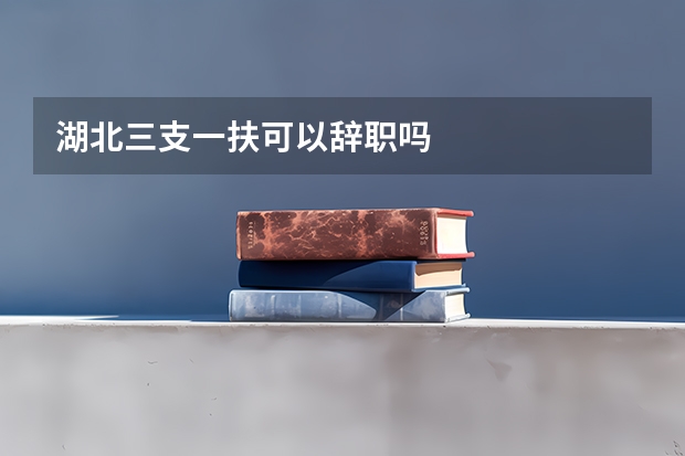 湖北三支一扶可以辞职吗