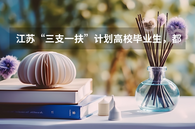 江苏“三支一扶”计划高校毕业生,都有什么待遇?