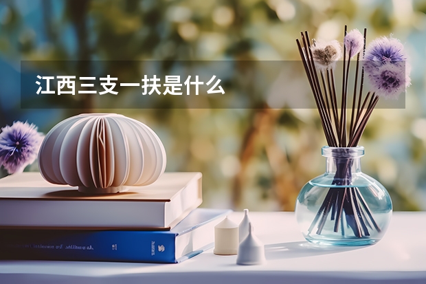 江西三支一扶是什么