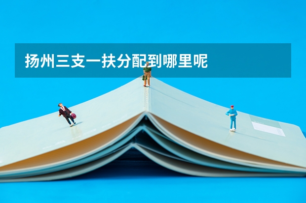 扬州三支一扶分配到哪里呢