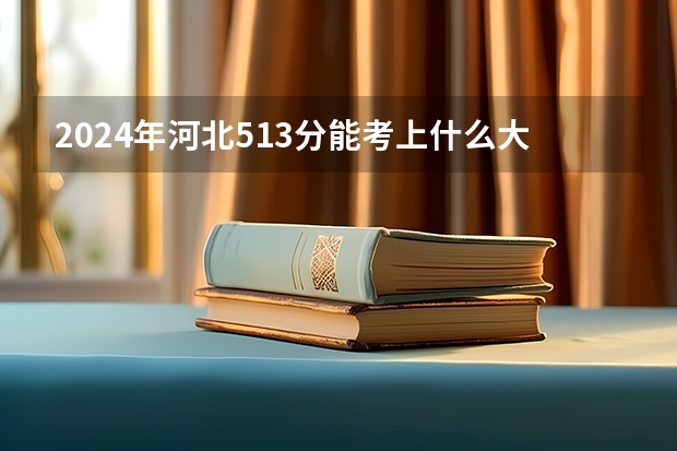 2024年河北513分能考上什么大学?