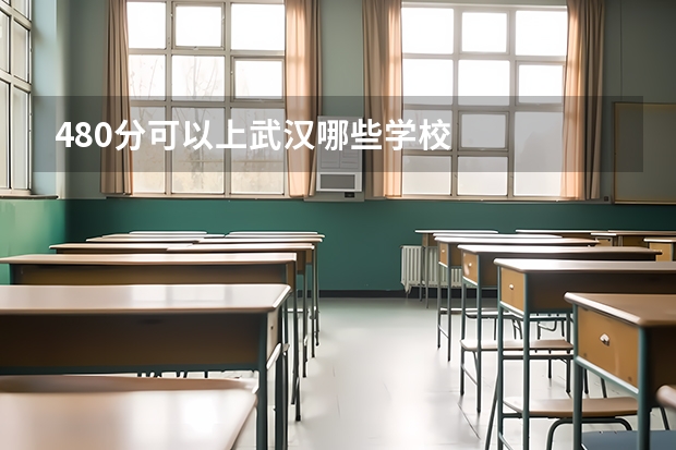 480分可以上武汉哪些学校