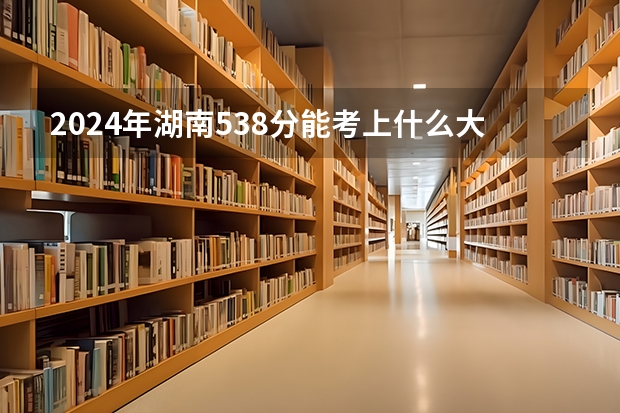 2024年湖南538分能考上什么大学?