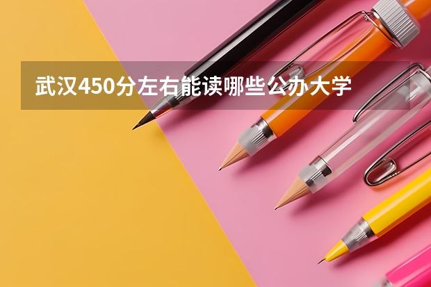 武汉450分左右能读哪些公办大学