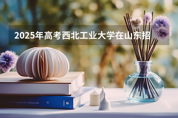 2025年高考西北工业大学在山东招生计划是什么