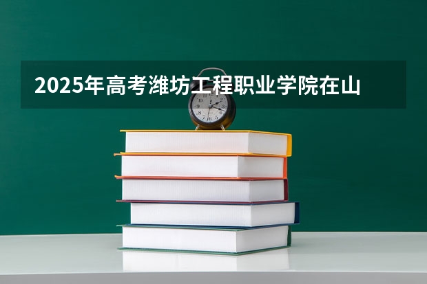 2025年高考潍坊工程职业学院在山东招生计划是什么