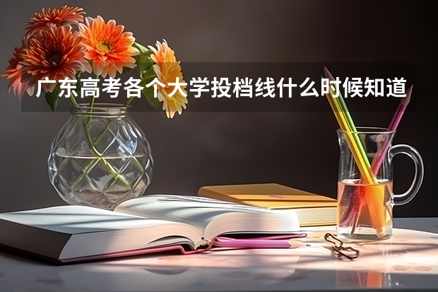 广东高考各个大学投档线什么时候知道?