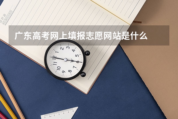 广东高考网上填报志愿网站是什么