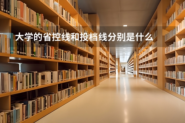 大学的省控线和投档线分别是什么