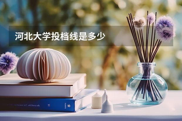 河北大学投档线是多少