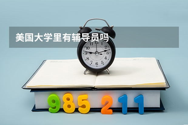 美国大学里有辅导员吗