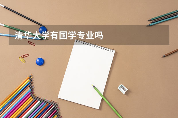 清华大学有国学专业吗